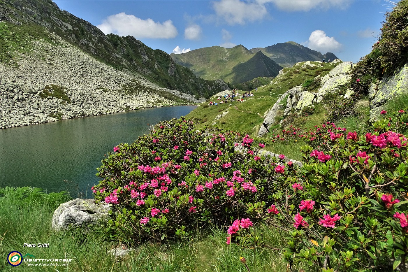 03 Lago di Sopra (2095 m) con estese fioriture di rododendri rossi.JPG